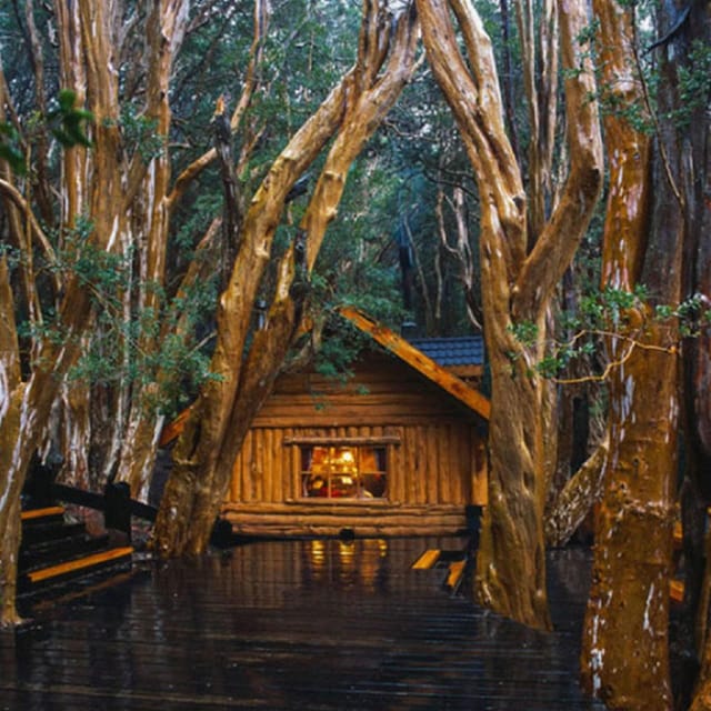 Navigation Through Victoria Island and Arrayanes Forest - Key Points