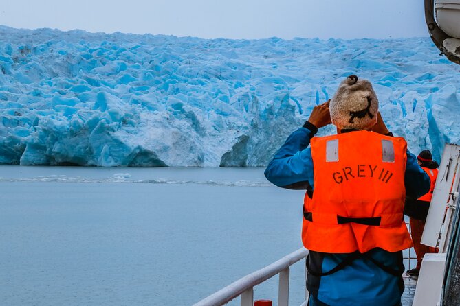 Navigation to Grey Glacier From Puerto Natales - Exploring the Iceberg-Filled Lake