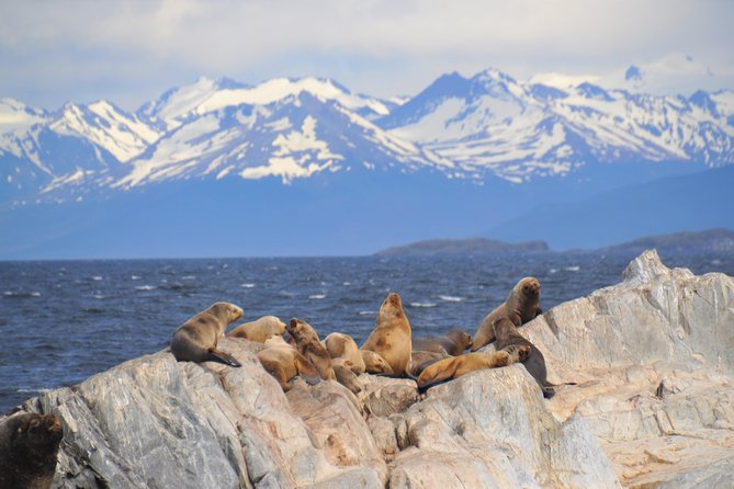 Navigation to the Penguins Island - USHUAIA - Beagle Channel - Navigating to Penguins Island