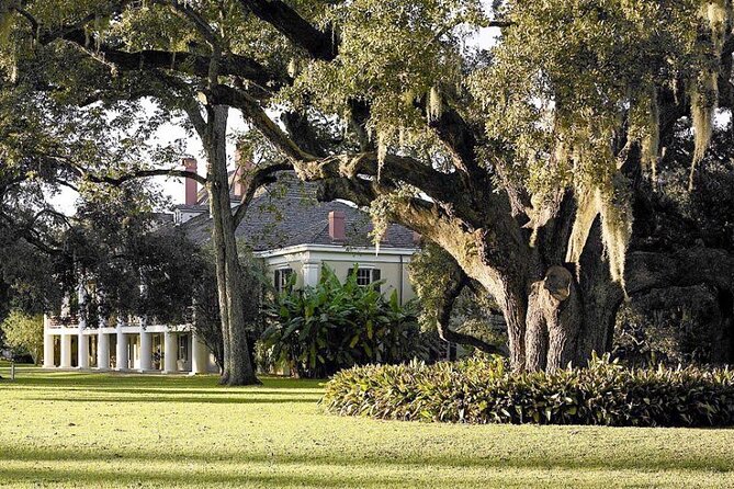 N'Awlins Luxury: Destrehan Plantation Tour With Transportation - Weather and Dress Considerations