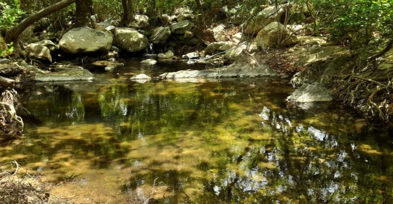Naxos: a Riverbank Adventure (Kinidaros - Eggares Villages) - Discovering Naxoss Olive Mill