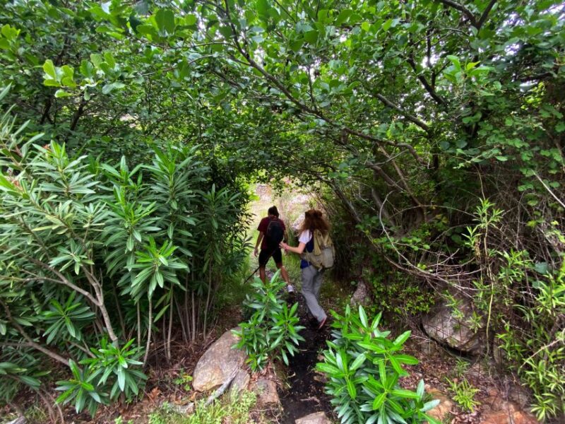 Naxos: a Riverbank Adventure (Kinidaros - Eggares Villages) - Hiking Through Hidden Oasis