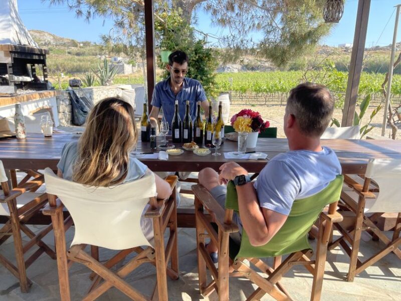 Naxos: Cheese and Wine Private Food Tour - Hands-On Cheese-Making Experience