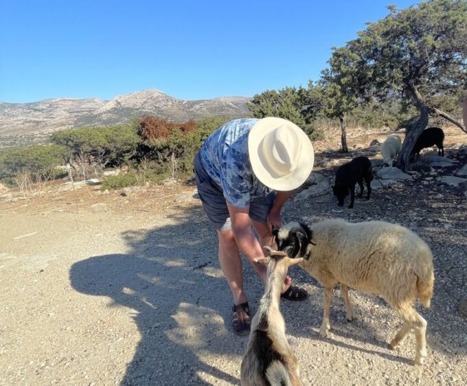 Naxos: Cheese and Wine Private Food Tour - Frequently Asked Questions