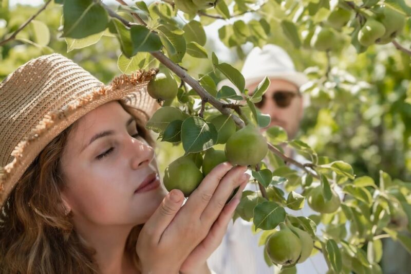 Naxos: Cooking Experience Near Kouros, Tour and Live Music - Scenic and Historical Exploration