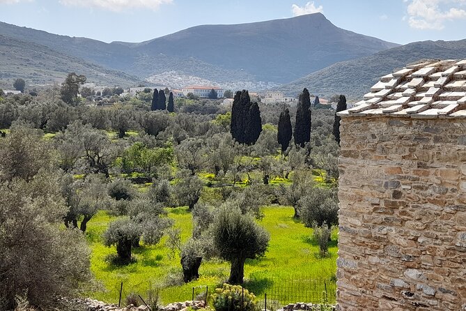 Naxos: Countryside Hike Among Villages & Byzantine Churches - Quick Points