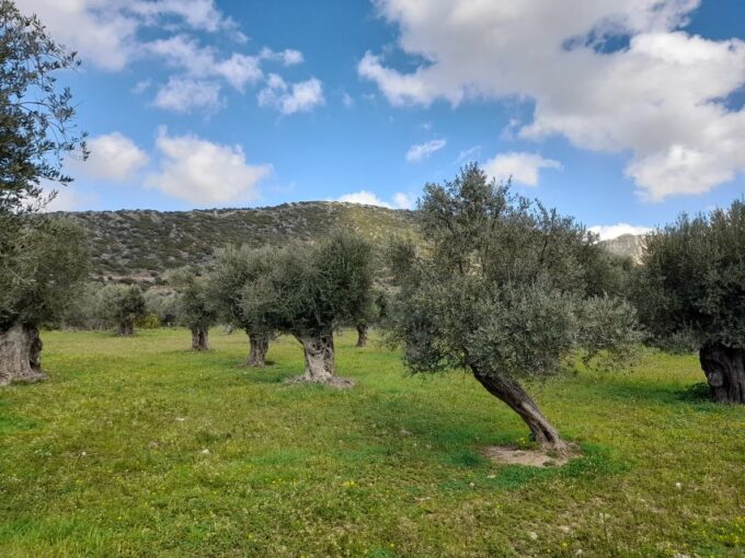 Naxos: Countryside Hike Among Villages & Byzantine Churches - Exploring Tragea Valley