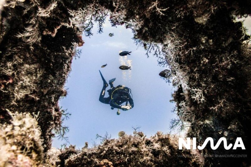 Naxos: Discover Scuba Dive With Nima Dive Center - No Prior Experience Needed