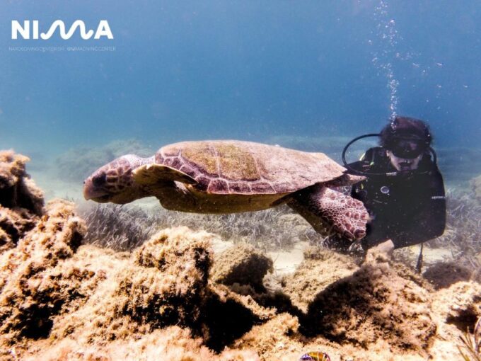 Naxos: Discover Scuba Dive With Nima Dive Center - Restrictions and Suitability