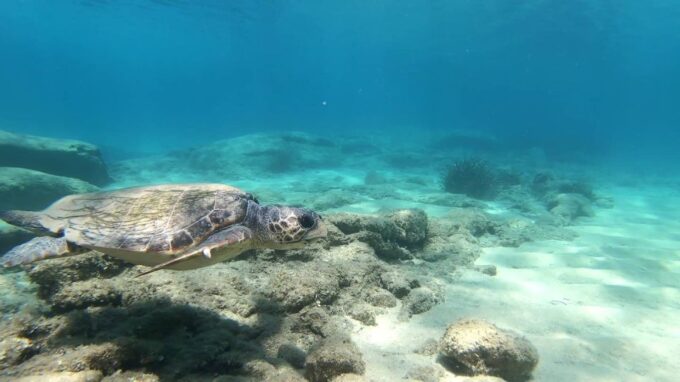 Naxos: Discover Scuba Diving - Your First Experience Diving - Program Inclusions