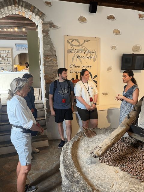 Naxos: E-Bike Guided Tour With Light Farmyard Lunch - Visiting a Hidden Local Farm
