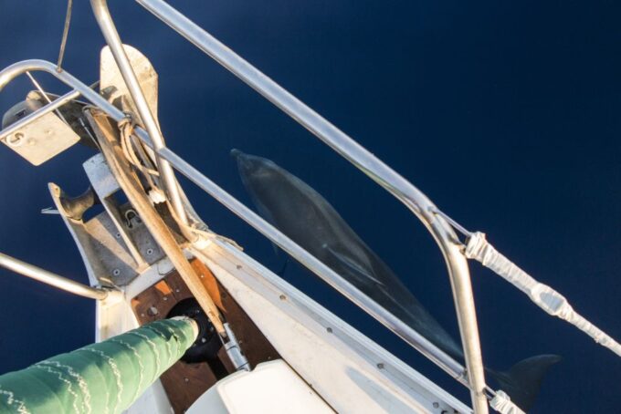Naxos: Full-Day Small Cyclades Sailing Cruise - Swimming and Snorkeling Opportunities