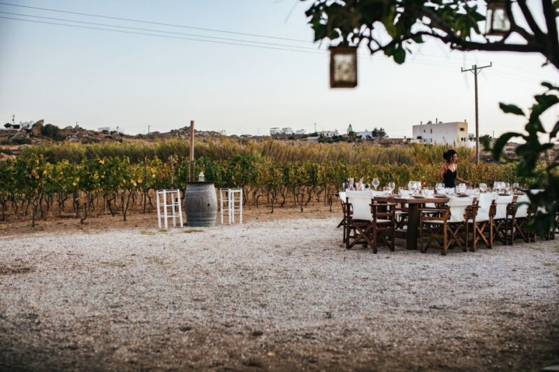 Naxos: Full Moon Dinner and Wine Tasting in a Vineyard - Gourmet Wine and Food Pairing