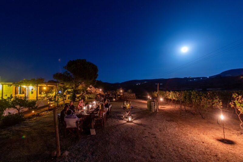 Naxos: Full Moon Dinner and Wine Tasting in a Vineyard - Moonlit Vineyard Tour