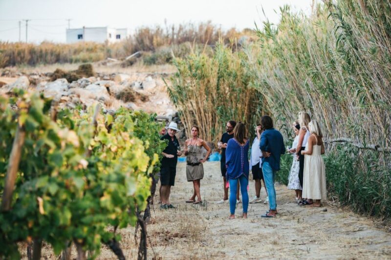 Naxos: Full Moon Dinner and Wine Tasting in a Vineyard - Culinary Highlights of the Evening