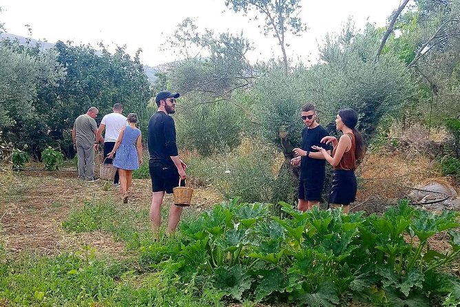 Naxos: Half-Day Cooking Class at Basiliko - Local, Fresh, and Organic Ingredients