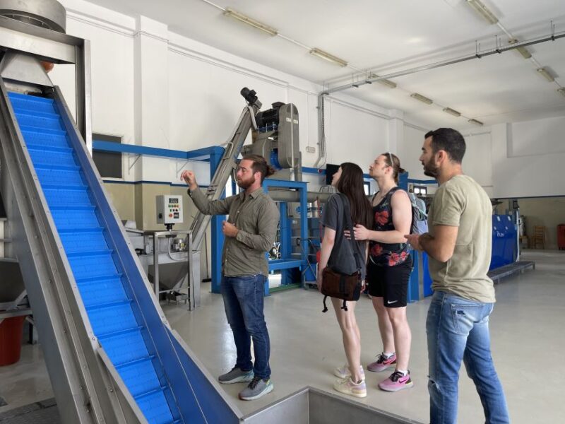 Naxos: Half-Day Olive Oil Tour With Tastings - Traditional Olive Press