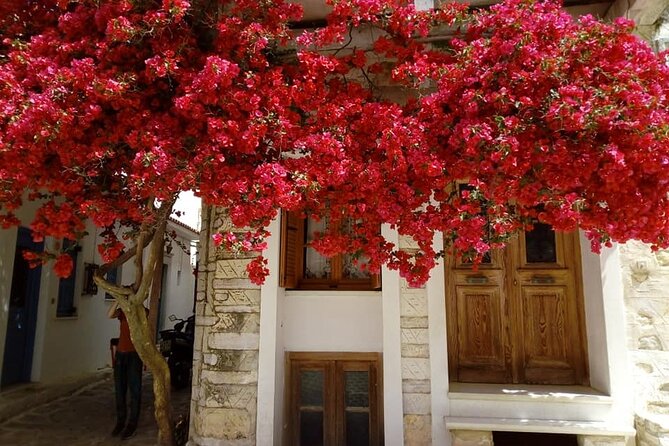 Naxos: Highlights of Naxos Day Tour - Temple of Demeter