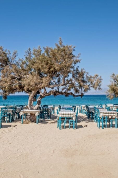 Naxos Highlights With Tastings - Transportation and Guide Services