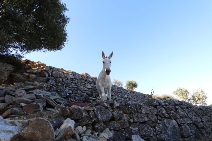 Naxos: Hike to the Top of Mount Zas With a Guide - Breathtaking Views From the Peak
