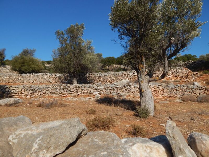 Naxos: Inland Hike - Villages, Kouroi Statues, Apano Kastro - Discovering the Kouroi of Flerio