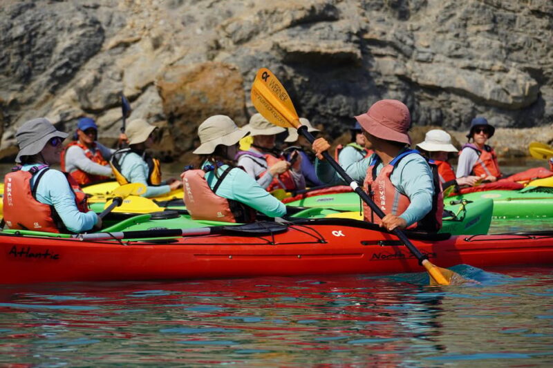 Naxos: Kampos Farm Sea Kayak Tour With Snorkeling & Picnic - Inclusions