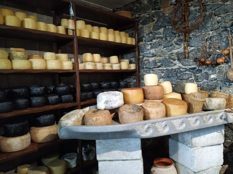 Naxos: Naxos Town Food Tour With Included Tastings and Wine - Highlights of the Tour