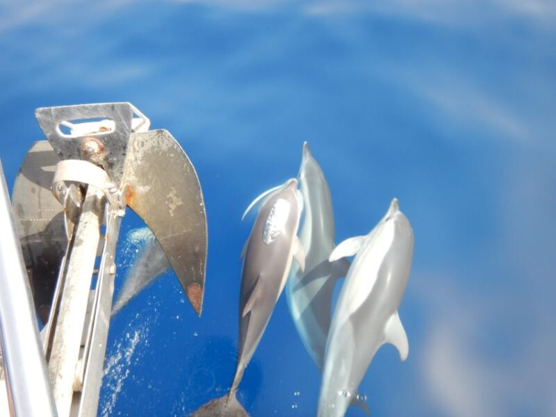 Naxos: Private Cyclades Sailing Cruise With Swimming Stops - Swimming and Snorkeling Spots