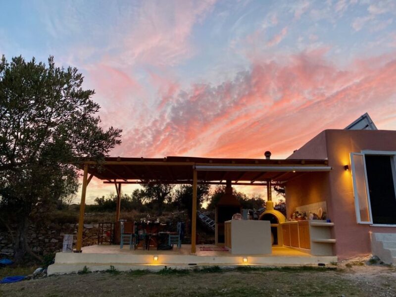 Naxos: Private Dining in the Olive Grove - Culinary Highlights