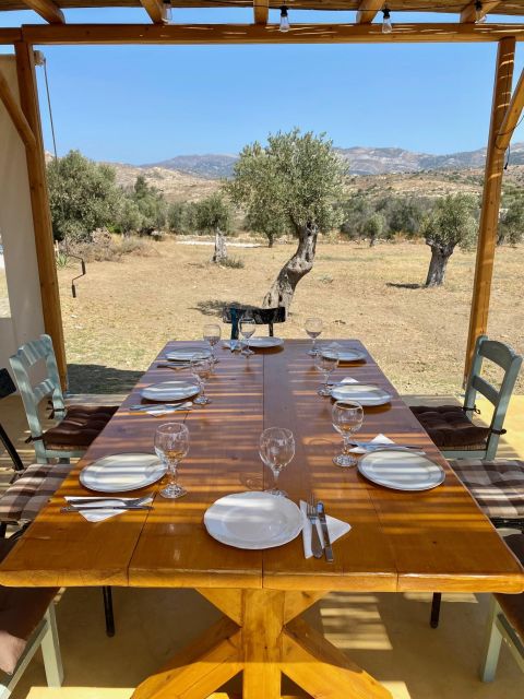 Naxos: Private Dining in the Olive Grove - Accessibility and Inclusions