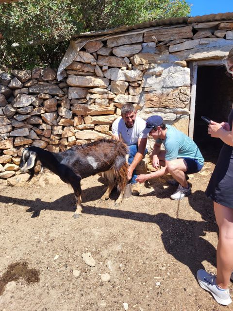 Naxos: Private E-Bike Tour With Lunch Ode-Yssey Uncharted - Demeter Temple Visit