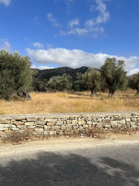 Naxos: Private E-Bike Tour With Wine Tasting Inland Methexis - Navigating the Potamia Villages