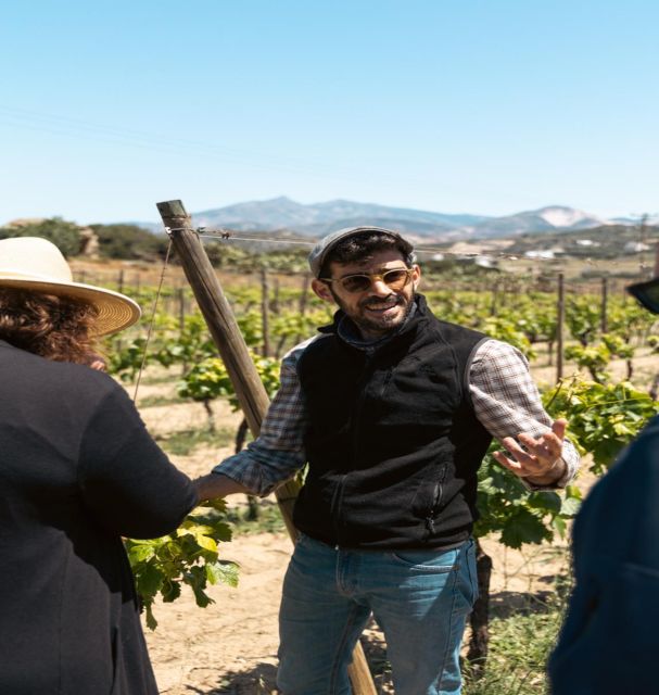 Naxos: Private E-Bike Tour With Wine Tasting Inland Methexis - Frequently Asked Questions
