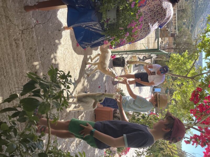 Naxos: Private Half-Day Family-Friendly Tasting Tour - Cheese-Making Experience