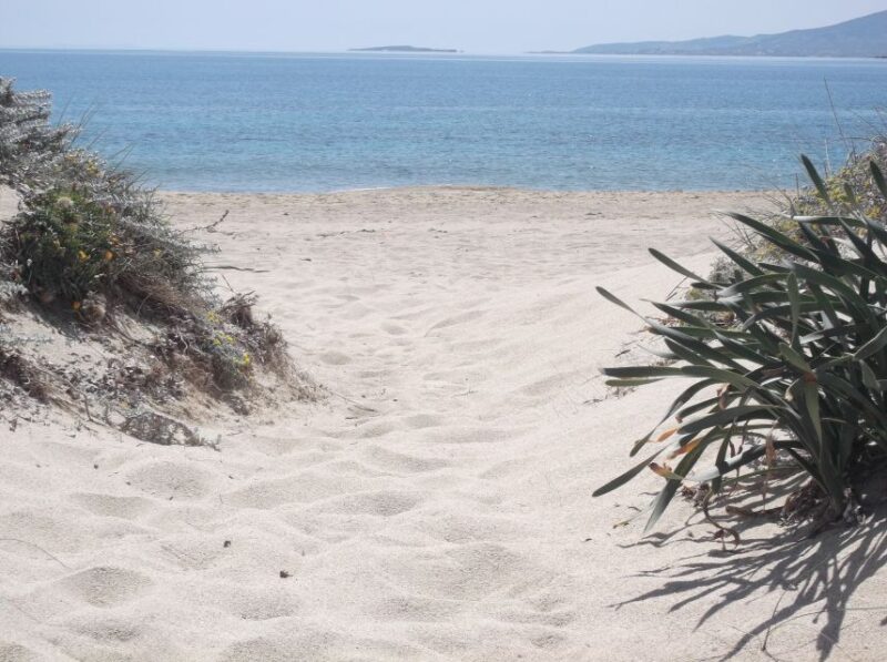 Naxos: Private Minibus Rental With an Experienced Driver - Visit Villages and Temples