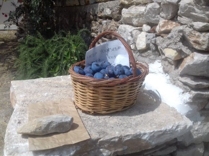 Naxos: Private Minibus Rental With an Experienced Driver - Customized Tour to Interests
