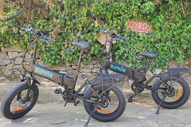 Naxos Private / Semi Private E-Bike Guided Tour Aegean Lush - Exploring Naxos by E-Bike