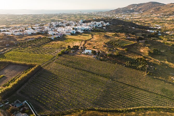 Naxos Private / Semi Private E-Bike Guided Tour Inland Methexis - Tasting Local Spirits