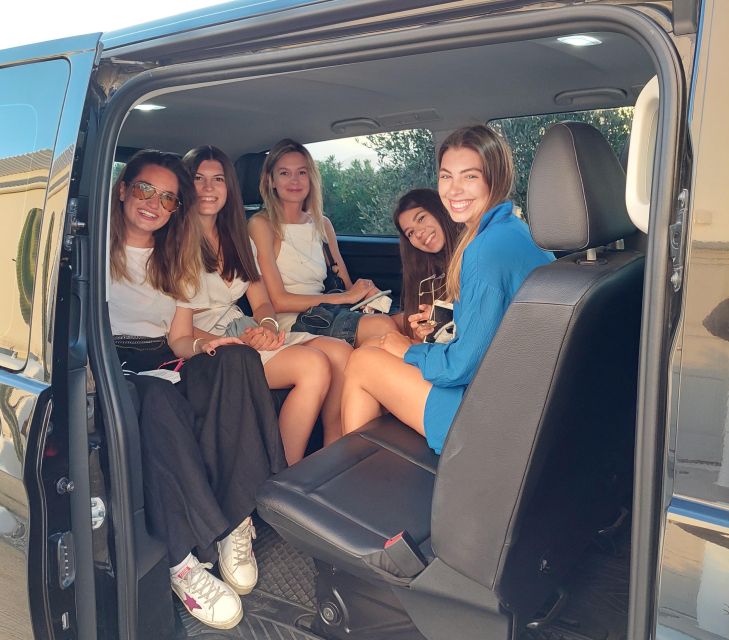 Naxos Private Transfer Port-Airport to All Destinations - Driver and Vehicle Details