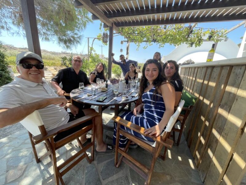 Naxos: Private Vineyard Tour & Wine Tasting With an Expert - Key Points
