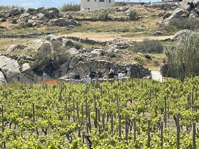 Naxos: Private Vineyard Tour & Wine Tasting With an Expert - Exploring Two Distinct Vineyards