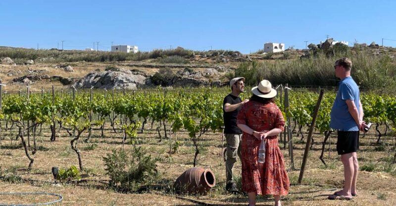 Naxos: Private Vineyard Tour & Wine Tasting With an Expert - Local Wine Growing Approaches