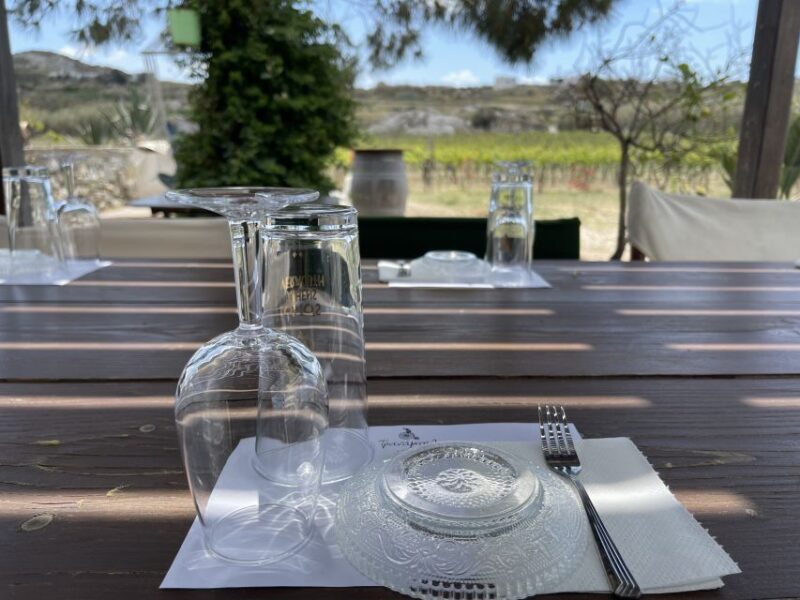 Naxos: Private Vineyard Tour & Wine Tasting With an Expert - Discussing Winemaking History