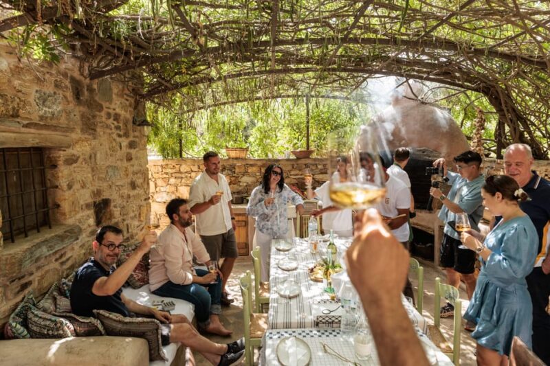 Naxos: Terra Grazia Winery Vineyard Tour and Wine Tasting - Experience Highlights