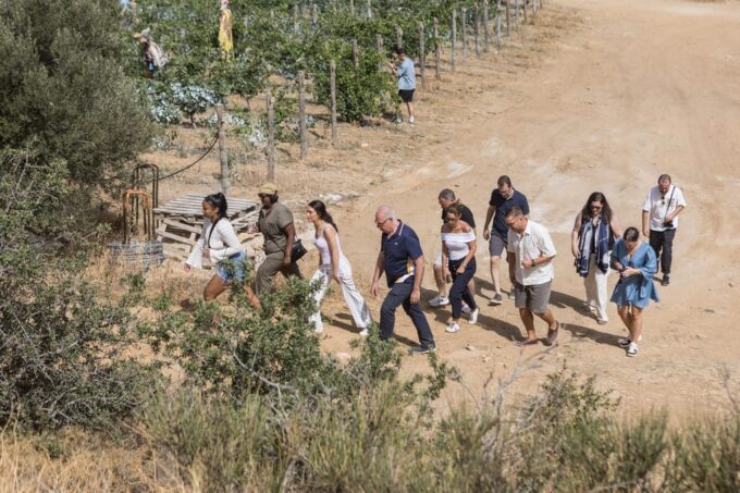 Naxos: Terra Grazia Winery Vineyard Tour and Wine Tasting - Biodynamic Viticulture