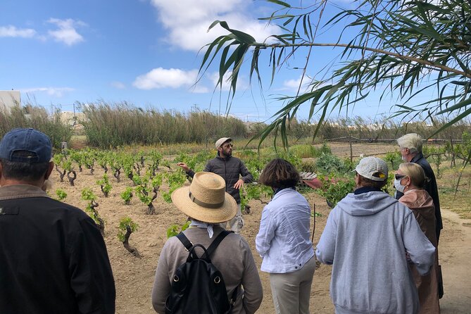 Naxos Wine & Culture Tour - Meeting and Pickup