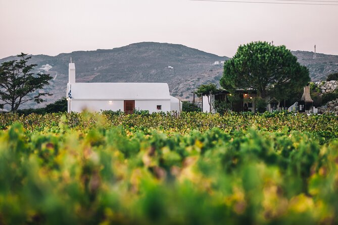 Naxos Wine & Culture Tour - Booking Information