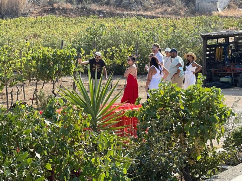 Naxos: Wine & Culture Tour - Inclusions and Highlights