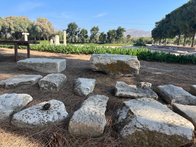 Naxos: Wine & Culture Tour - Wine Tasting and Vineyard Tour