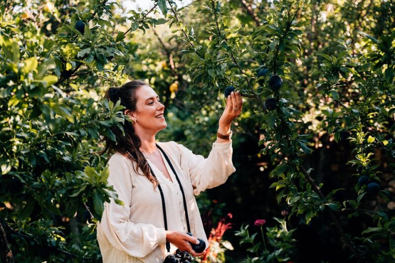 Naxos: Wood-Fire Cooking Class at a Farm With Meal & Drinks - Historic Family Farm